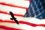 eagle flag.jpg (5368 bytes)