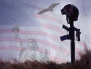 price_of_freedom_sm.jpg (3571 bytes)